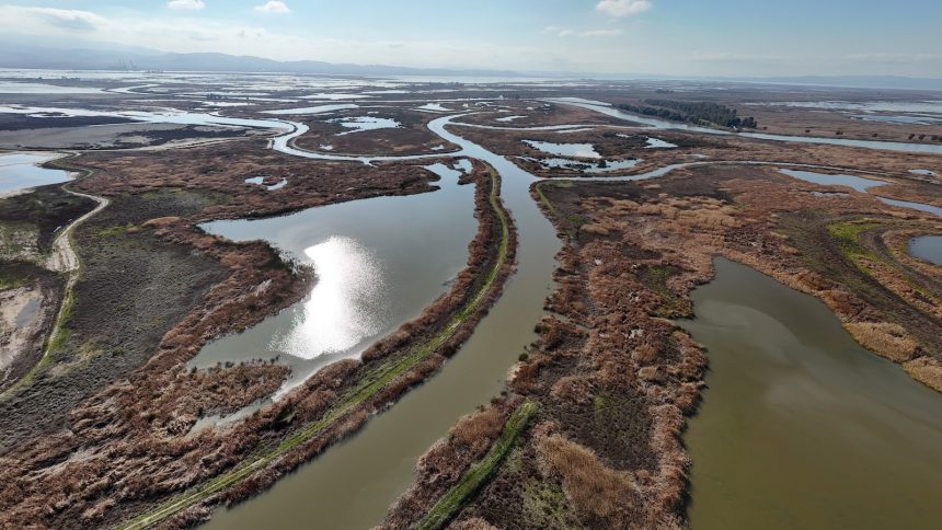 Inside the polarizing plan to stash carbon in a California wetland
