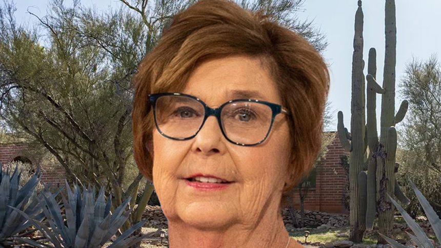 Investigators Find Black Glove on Road in Search for Nancy Guthrie Kidnapper