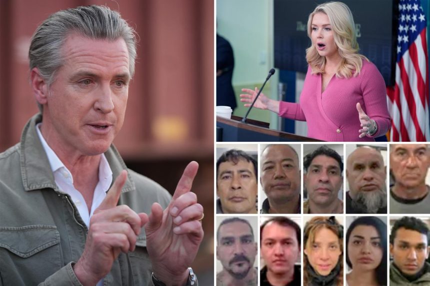 Karoline Leavitt pounces on Gavin Newsom over release of jailed illegal immigrants