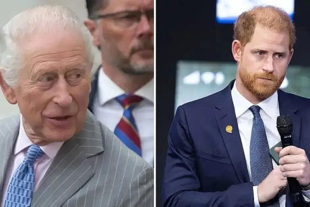 King Charles Included ‘Reunion Plea’ Message to Harry in His New Doc