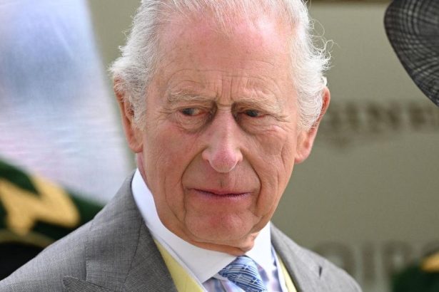 King Charles Urged to Give Speech to the World After Brother’s Arrest