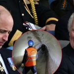 King Charles Wins Approval For Massive “Sewer Pit” Near William’s Home