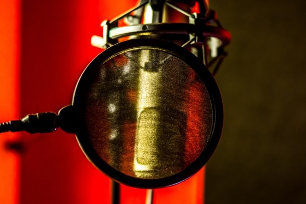 Longtime NPR host David Greene sues Google over NotebookLM voice