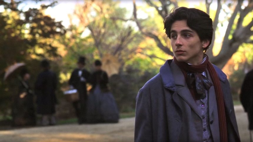 Timothée Chalamet’s Best Films and Television Appearances to Date