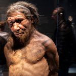 Male Neanderthals and female humans likely interbred more often than the other way around