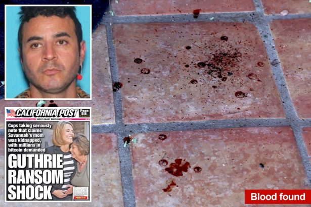 Man who allegedly texted Guthrie family about bitcoin ransom makes first court appearance