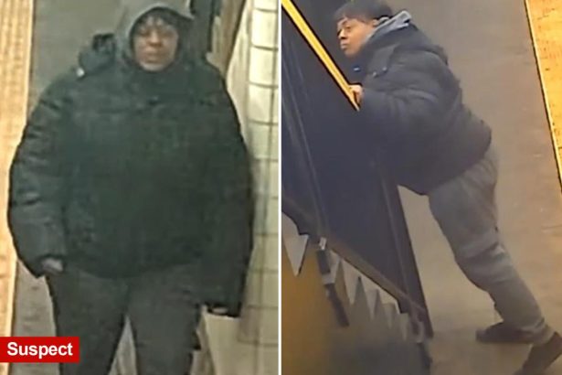 Maniac shoves 58-year-old straphanger onto NYC subway tracks during random attack: cops