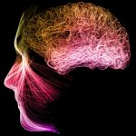 Meditation Can Reshape Your Brain Activity, Study Reveals : ScienceAlert