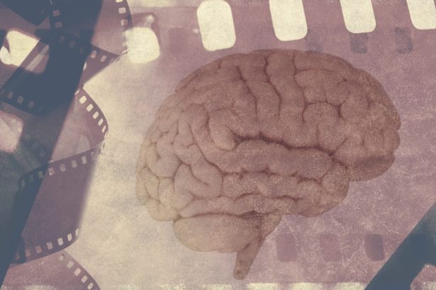 Memory Loss in Alzheimer’s Linked to Problems With The Brain’s ‘Replay Mode’ : ScienceAlert