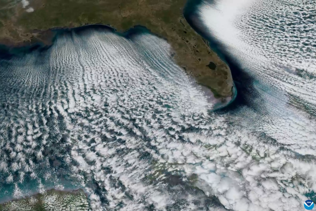 Mesmerizing ‘cloud streets’ emerge from Florida’s frigid air