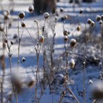 More than a foot of snow forecast for Colorado mountains this week
