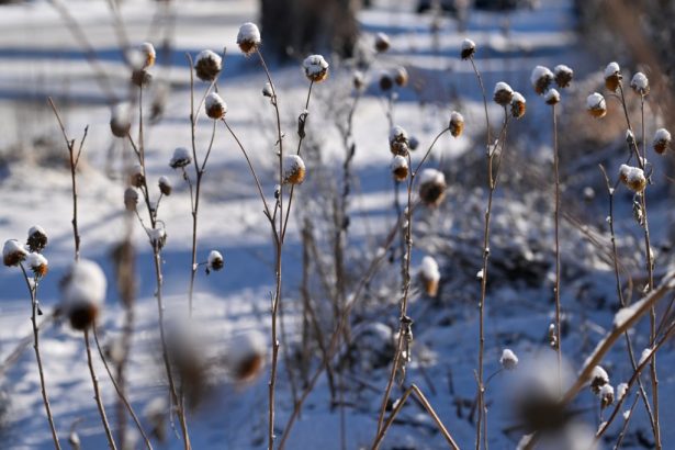 More than a foot of snow forecast for Colorado mountains this week