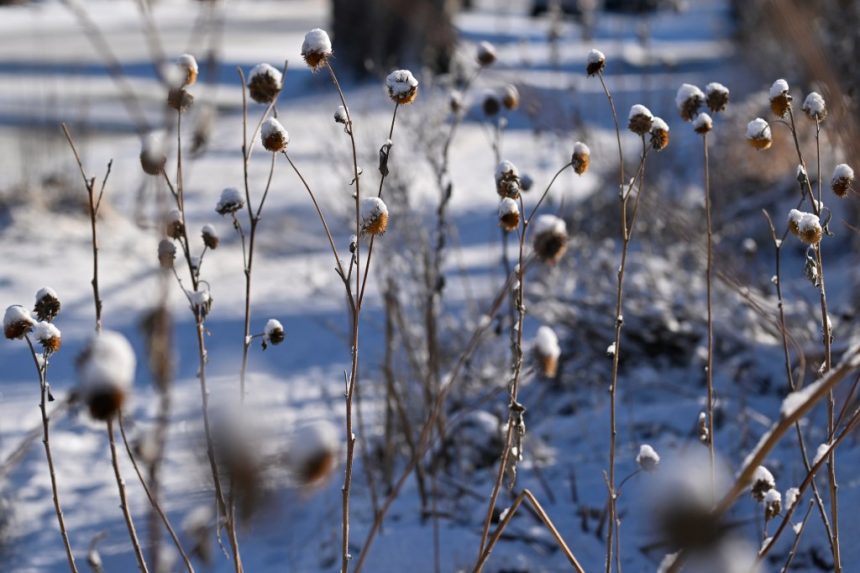 More than a foot of snow forecast for Colorado mountains this week