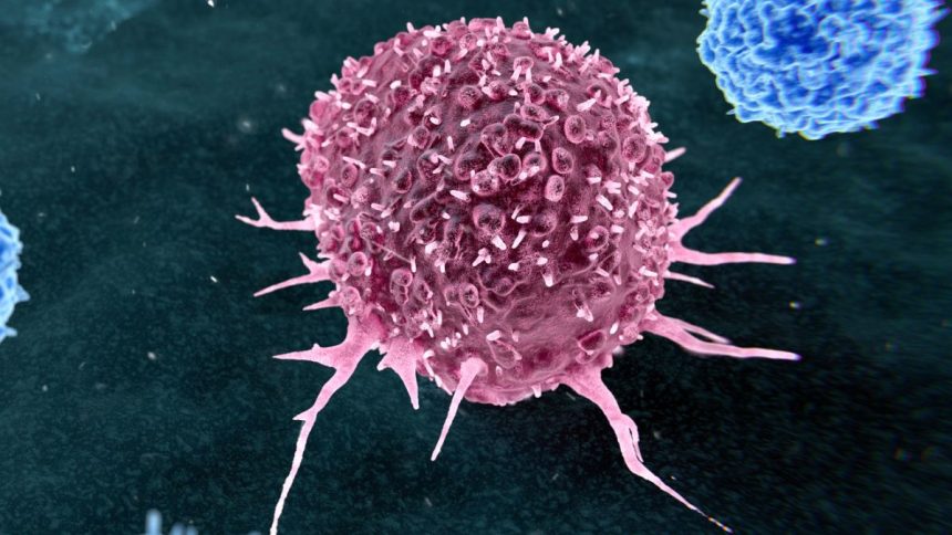 Most Preventable Cancers Are Linked to Just Two Lifestyle Habits : ScienceAlert