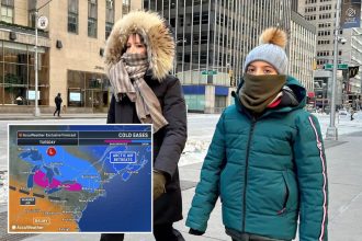 NYC to finally start thawing out as warmer temps finally in the forecast