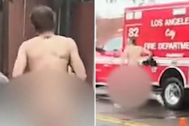 Naked man ‘on drugs’ flees scene of Hollywood crash: video