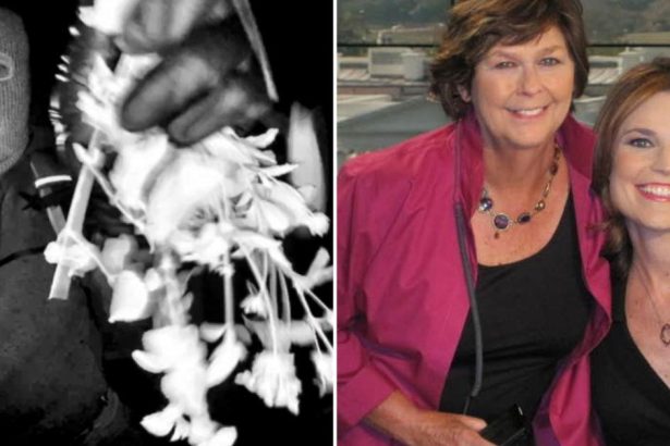 Nancy Guthrie Kidnapping Suspect’s Critical Error Exposed in Slip-Up