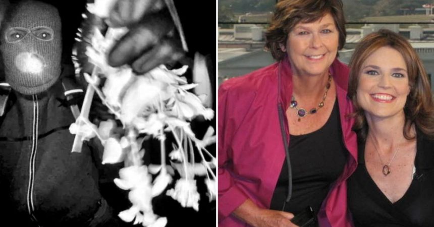 Nancy Guthrie Kidnapping Suspect’s Critical Error Exposed in Slip-Up