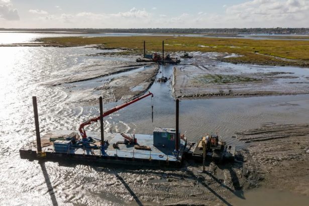 ‘Nature will take over’