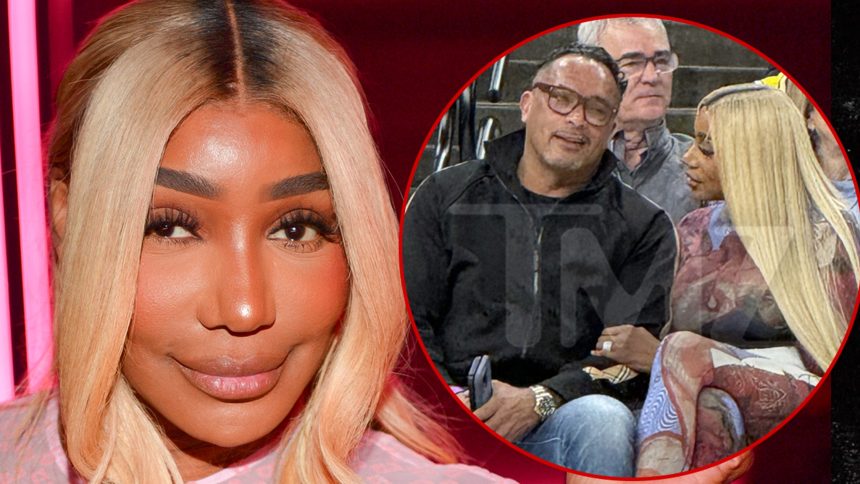 NeNe Leakes’ New Man Was Once Arrested for Rape & Assault