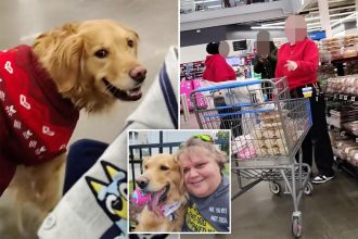 New York Walmart shopper allegedly followed by store workers all because service dog was off-leash