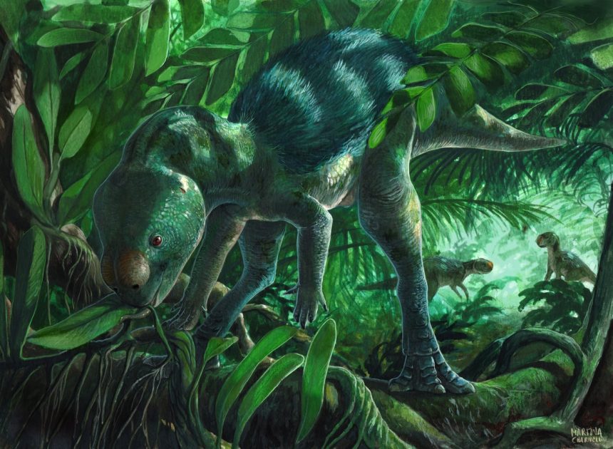 New chicken-sized dinosaur baffles paleontologists