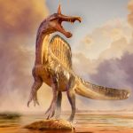 New fossils may settle debate over mysterious sail-backed spinosaurs