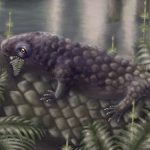 Newly Discovered Fossil Among The Earliest Land Creatures to Enjoy a Salad : ScienceAlert