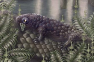 Newly Discovered Fossil Among The Earliest Land Creatures to Enjoy a Salad : ScienceAlert