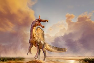 Newly discovered horned dinosaur was like a unicorn from hell