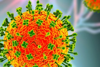 Nipah Virus Outbreak Has Asia on High Alert Amid Deaths in India : ScienceAlert