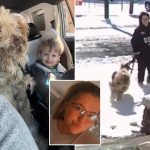 North Carolina woman Dason Garner charged, fired after rescuing abandoned dog during snowstorm