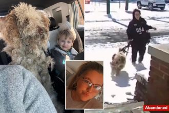North Carolina woman Dason Garner charged, fired after rescuing abandoned dog during snowstorm