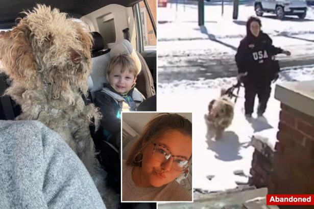 North Carolina woman Dason Garner charged, fired after rescuing abandoned dog during snowstorm