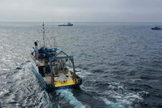 Ocean geoengineering trial finds no evidence of harm to marine life