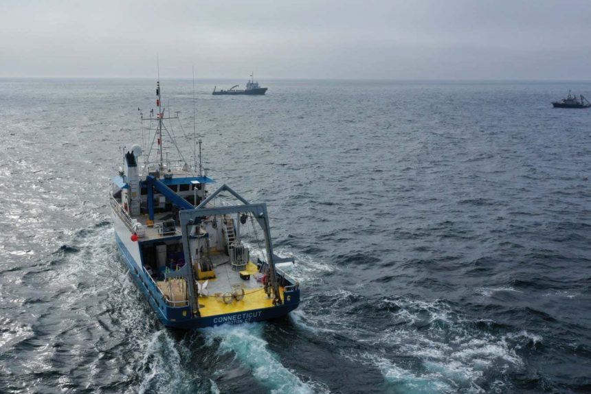 Ocean geoengineering trial finds no evidence of harm to marine life