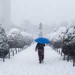 Offshore wind showed up big during the East Coast’s brutal cold