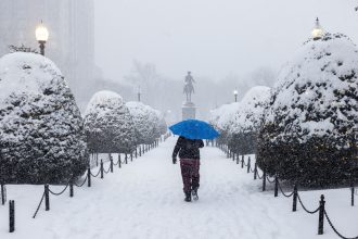 Offshore wind showed up big during the East Coast’s brutal cold