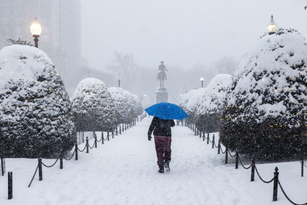 Offshore wind showed up big during the East Coast’s brutal cold