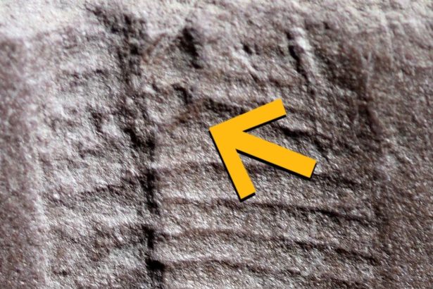 The Breaking Bad Effect, The Oldest Butthole, And More! : ScienceAlert