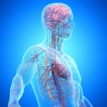 One in Three Dementia Cases Is Linked to Disease Outside The Brain : ScienceAlert