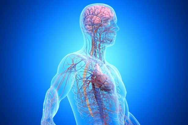 One in Three Dementia Cases Is Linked to Disease Outside The Brain : ScienceAlert