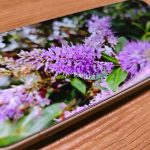 OnePlus 16 Tipped For 240Hz Display