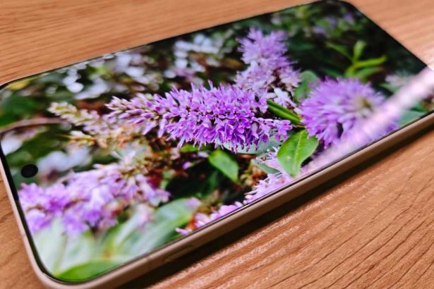 OnePlus 16 Tipped For 240Hz Display