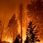 Overshoot: The world is hitting point of no return on climate