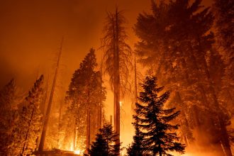 Overshoot: The world is hitting point of no return on climate