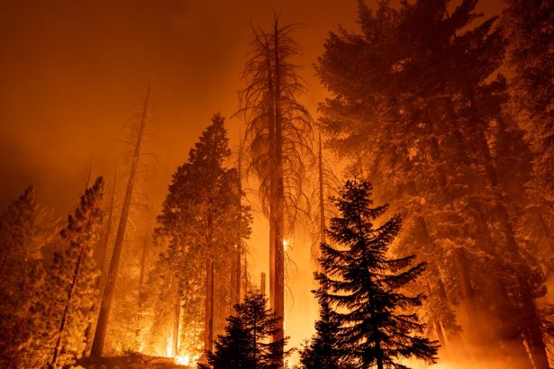 Overshoot: The world is hitting point of no return on climate