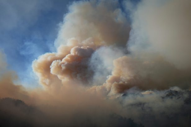 Particle pollution from wildfire smoke tied to 24,100 U.S. deaths annually