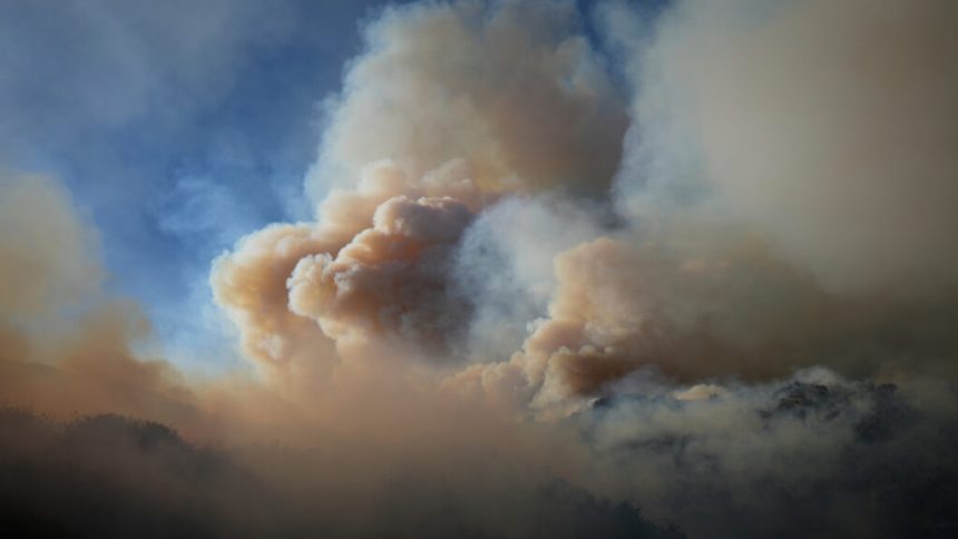 Particle pollution from wildfire smoke tied to 24,100 U.S. deaths annually