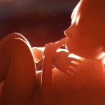 Placenta May Hide Early Warning Signs of Schizophrenia Risk : ScienceAlert